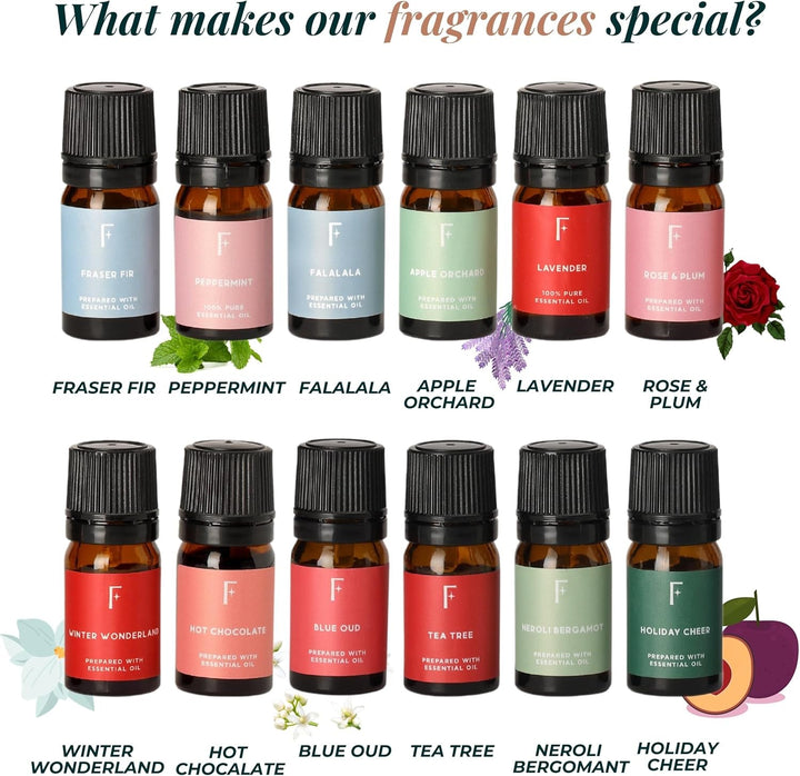 Advent Calendar 2024 Pack of 24 Christmas Gifts Set, Christmas Essential Oil Set for Diffuser, Christmas Fragrance Oils, Holiday Gift Set | 24 Days of Wellness for Women Men Adult - Nook Nest Online Store